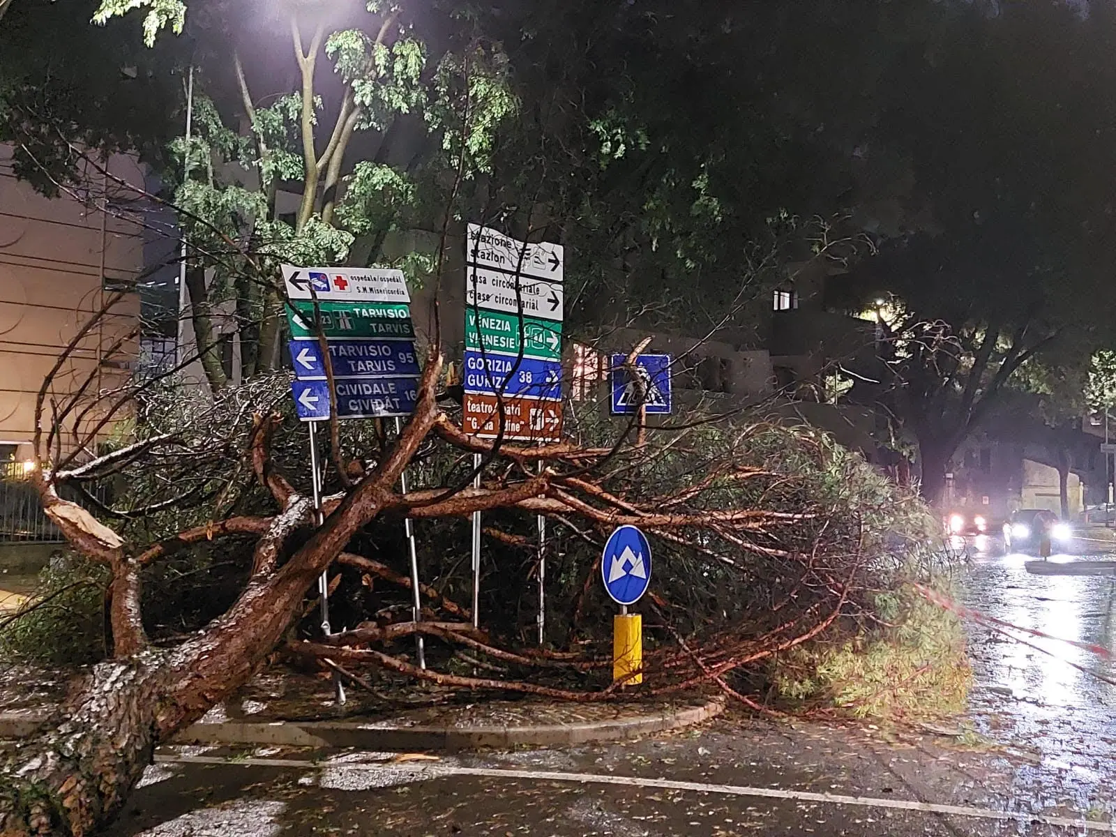 Un albero spezzato in strada in piazzale Oberdan a Udine