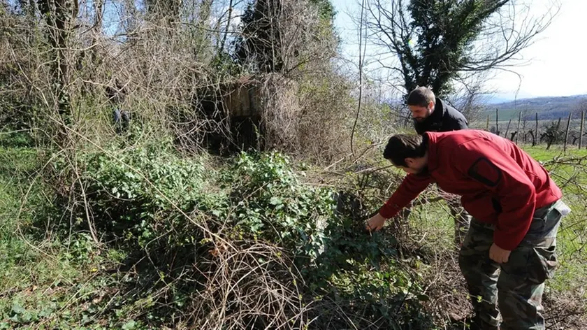 Prepotto e Dolegna del Collio 13 Marzo 2016. Ricerca foibe a Craoretto ed a Scrio'. Copyright Agenzia Foto Petrussi / Petrussi Diego