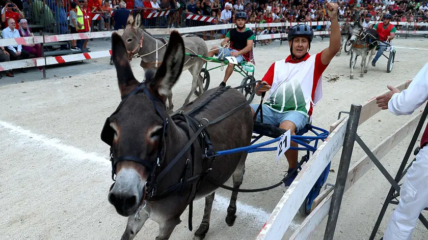 L’arrivo trionfale di Luna, che ha preceduto Pepita e Nuvola