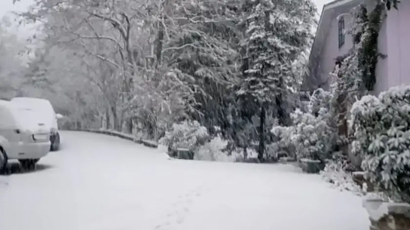 Nevica nel Subappennino dauno e nel Gargano. foto libere da Credit