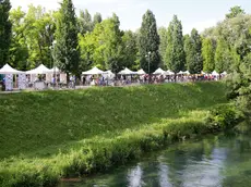 FESTA DEL NONCELLO, VIA RIVIERASCA