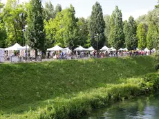 FESTA DEL NONCELLO, VIA RIVIERASCA