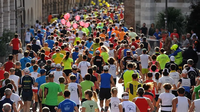 Udine, 20 settembre 2015. 16¡ Maratonina citta' di Udine. Nella foto la partenza della half marathon competitiva. Copyright ag Foto Petrussi / Ferraro Simone