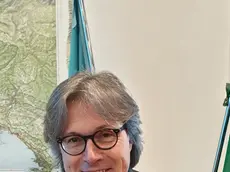 L'assessore Sergio Bini
