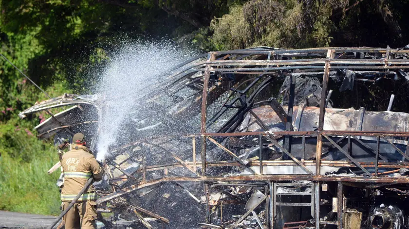 epaselect epa10176828 Firefighters and rescuers work in the area where an accident occurred between a cargo truck and a passenger bus, in Ciudad Victoria, Tamaulipas, Mexico, 10 September 2022. At least 18 people died, and others were injured, in an accident on the Ciudad Victoria-Monterrey highway, in the northeastern Mexican state of Tamaulipas, when a passenger bus collided with a trailer carrying fuel and caught fire, state authorities reported. EPA/Jose Martinez