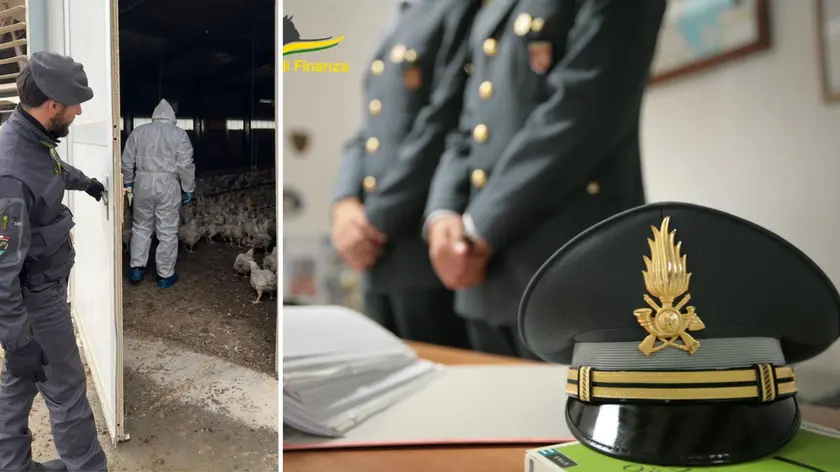La Guardia di finanza di Pordenone durante i controlli nell'allevamento di polli