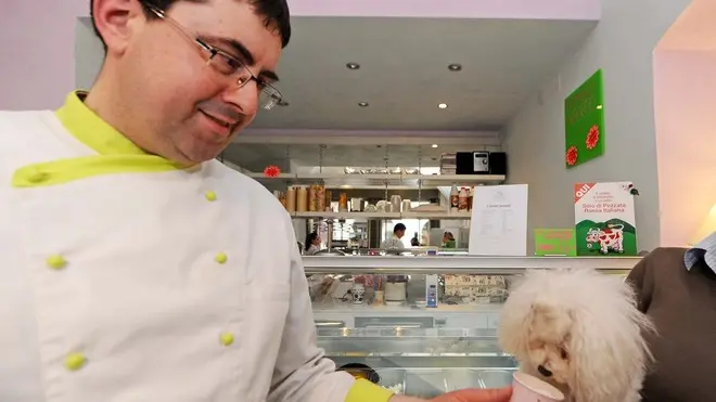 Udine 26 aprile 2013 Gelato per cani nella gelateria di Paolo Dolce in via Vittorio Veneto 38. © Foto Petrussi Foto Press / Ferraro Simone