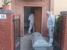 Donna morta per sparo di fucile a Siena, notizie date e in arrivo, si nota arma sequestrata in cartone ,