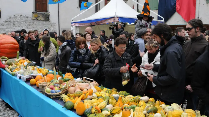 Venzone 23 ottobre 2011 festa zucca FOTO PFP/Turco