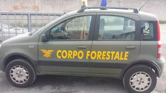 Le due ex guardie forestali, ora in pensione, svolgeranno lavori di pubblica utilità