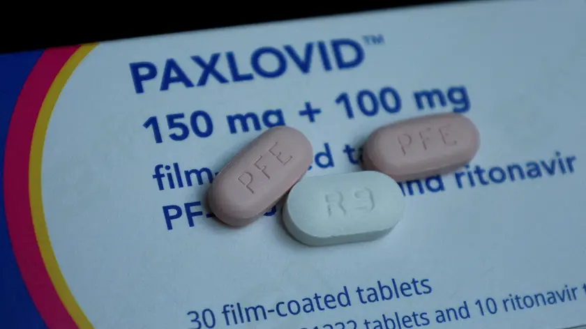 FILE PHOTO: Paxlovid, Pfizer's anti-viral medication to treat the coronavirus disease (COVID-19), is displayed in this picture illustration taken October 7, 2022. REUTERS/Wolfgang Rattay/Illustration/File Photo