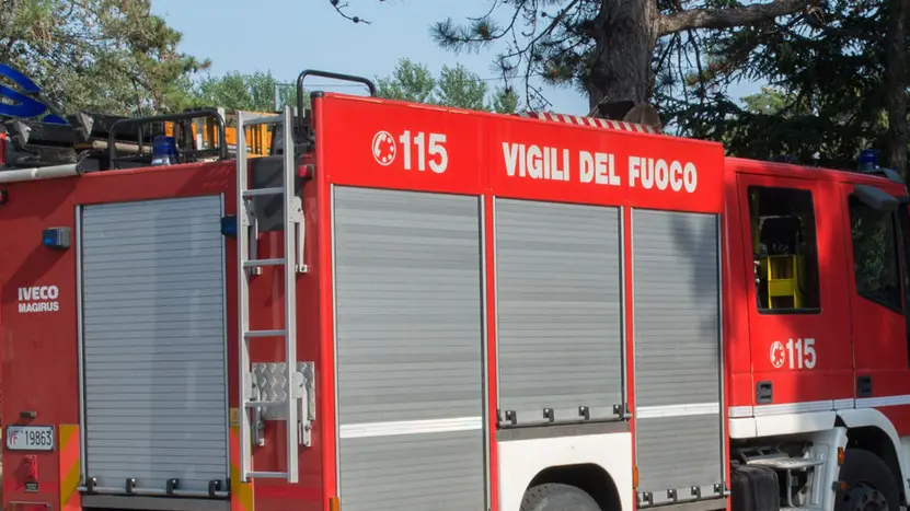 Lignano 13 Agosto 2015. Incendio pineta Getour. Foto Petrussi