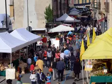 Udine 12 ottobre 2014 festa castagne Copyright Petrussi Foto Press Turco