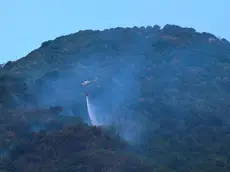 Elicottero al lavoro per spegnere l'incendio (Foto Petrussi)