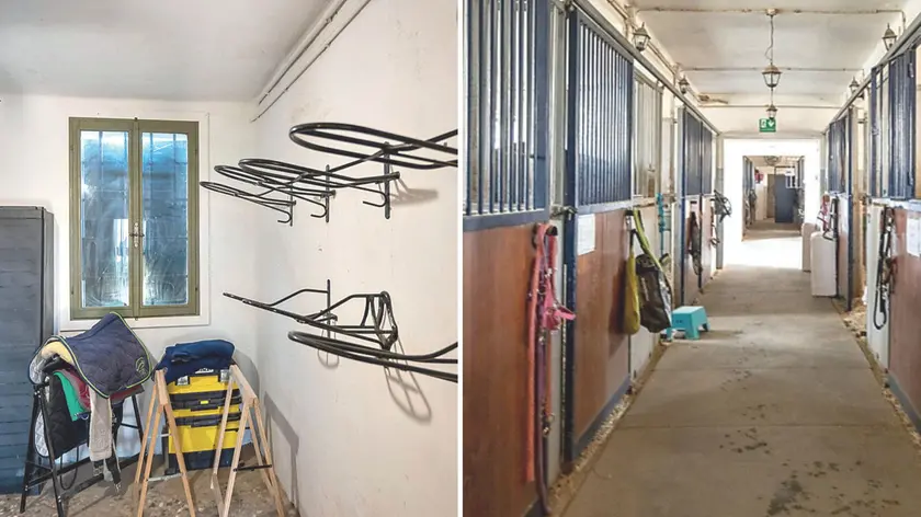 L’interno del circolo ippico La corte, a Madonna di Campagna di Cordovado alle pareti si possono vedere i portaselle completamente ripuliti dai ladri. Foto Brisotto/Petrussi