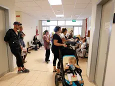 Bonaventura Monfalcone-06.09.2017 Centro vaccinazioni-Ospedale-San Polo-Monfalcone-foto di Katia Bonaventura