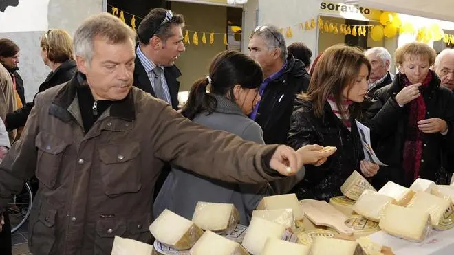Gemona 13 novembre 2011. Festa del formaggio7/festa del ringraziamento. Telefoto Copyright PFP/Serratore