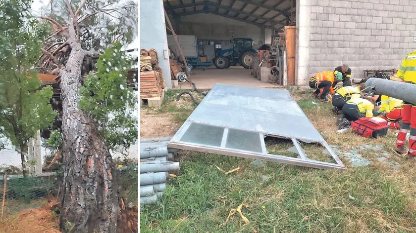 Un albero caduto lungo una recinzione al camping Belvedere di Grado, a destra il cancello caduto a Rive d'Arcano
