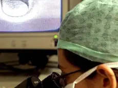 BIOETICA: DOPO RU486, TUTTE LE BATTAGLIE PRO-VITA. Una immagine di archivio, datata 6 giugno 2006, di una inseminazione svolta in laboratorio. Congelare gli ovuli ed effettuare o meno la diagnosi pre-impianto sono al centro del dibattito sulla procreazione assistita: sull'impianto della legge 40, dopo il ricorso di una coppia di talassemici, si e' espressa anche la Corte Costituzionale, eliminando il limite massimo di tre embrioni da impiantare e introducendo la possibilita' di crioconservare gli ovuli. La legge proibisce anche la ricerca sulle staminali embrionali, che e' portata avanti in Italia utilizzando quelle in circolazione all'estero. CIRO FUSCO / ARCHIVIO / ANSA / LI