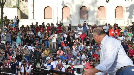 Fagagna 2 Settembre 2018 corsa asini Agenzia Petrussi foto Massimo Turco