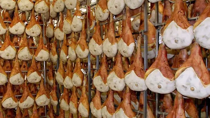 San Daniele 12 Marzo 2008. Lavorazione del Prosciutto. Telefoto Copyright /Foto Agency Anteprima Udine.