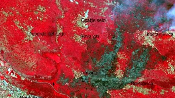 Il rosso indica le zone con vegetazione “sana”, le macchie scure corrispondono a piante danneggiate