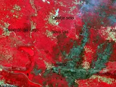 Il rosso indica le zone con vegetazione “sana”, le macchie scure corrispondono a piante danneggiate