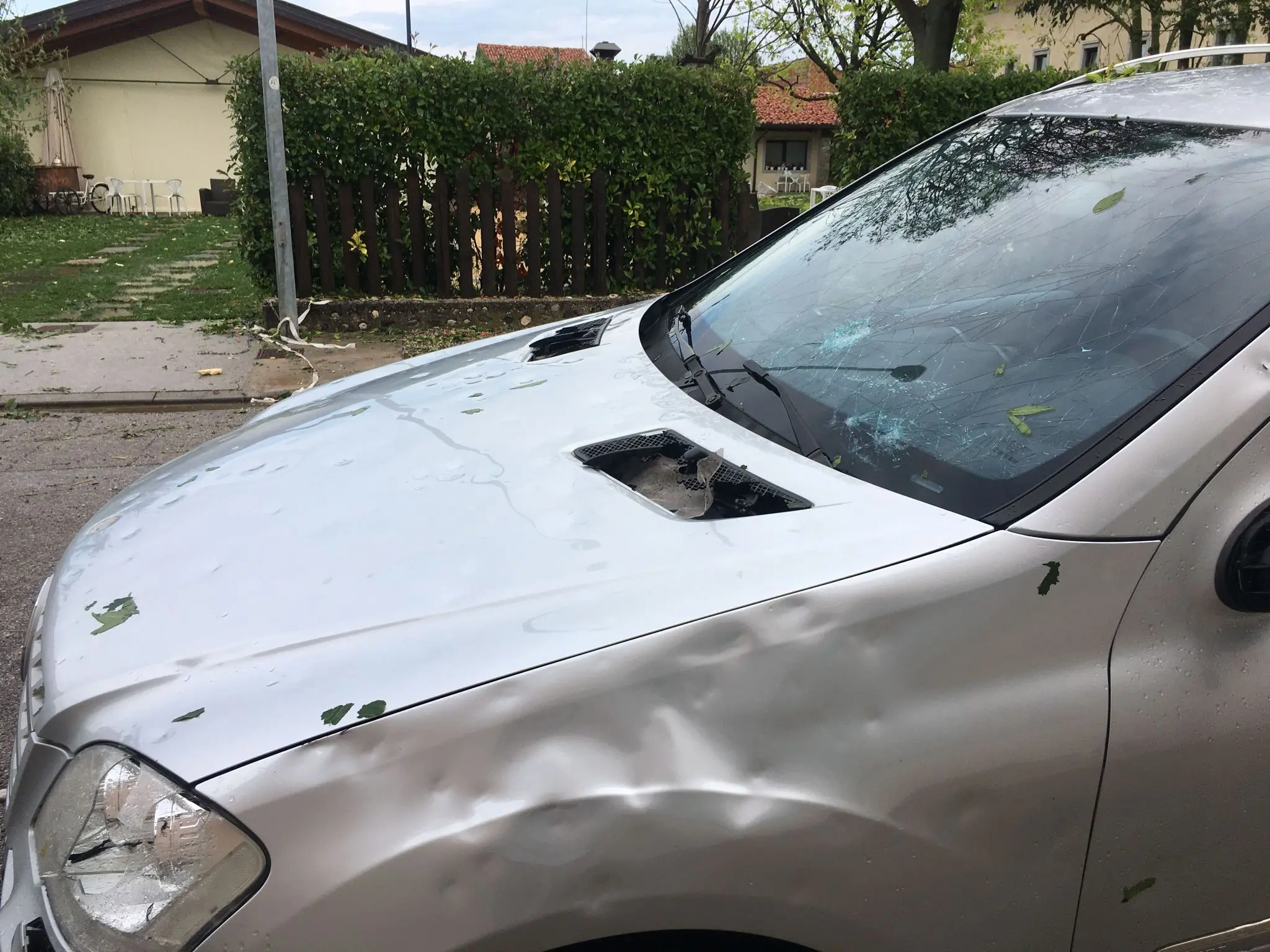Mortegliano è uno dei comuni più colpiti dalla violenta grandinata che ha interessato tutto il Friuli nella notte tra lunedì 24 e martedì 25 luglio. Le immagini parlano da sole: il ghiaccio, grosso come palline da tennis, ha colpito e distrutto molte delle finestre delle abitazioni. I bozzi si vedono anche sui muri e le strade sono ricoperte da chicchi di ghiaccio. Leggi anche l'intervista al sindaco "Sembrava un bombardamento"