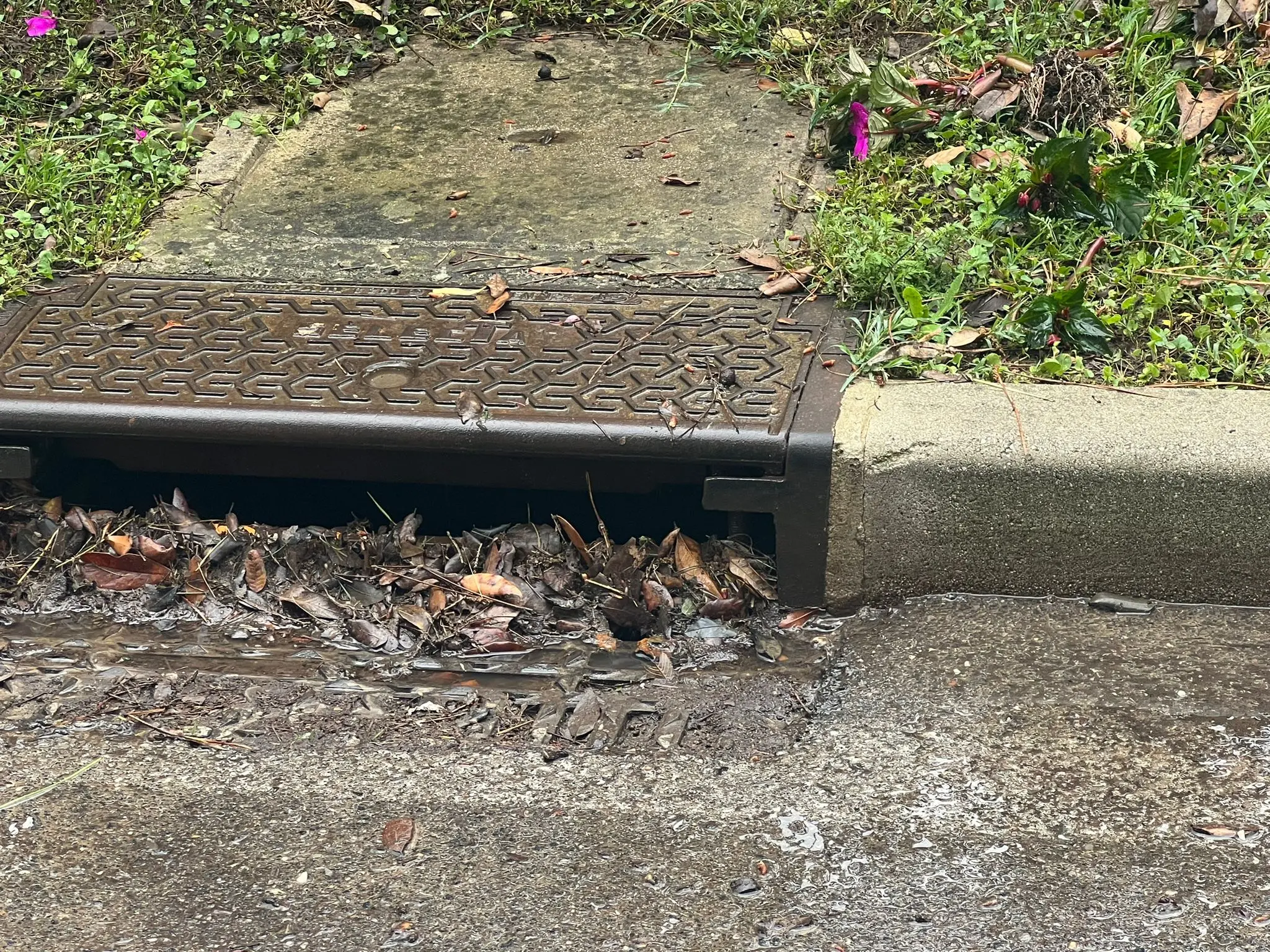 Una bomba d'acqua si è abbattuta nelle prime ore di venerdì mattina a Lignano: la località balneare è finita sott'acqua. Sono stati attivati 28 volontari con 9 automezzi per la gestione delle problematiche conseguenti all’evento meteo e il monitoraggio del territorio