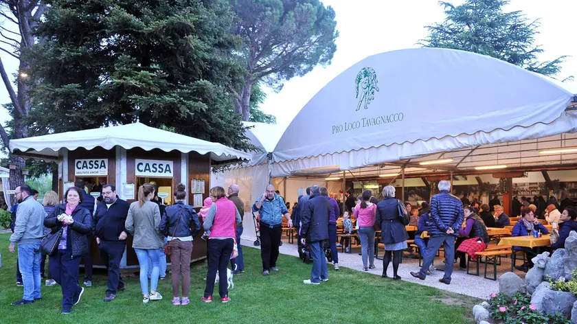 Tavagnacco 22 aprile 2016.Sagra degli asparagi..Copyright Foto Petrussi / Ferraro Simone