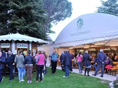 Tavagnacco 22 aprile 2016.Sagra degli asparagi..Copyright Foto Petrussi / Ferraro Simone