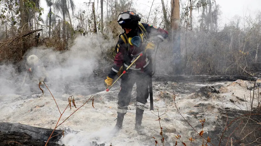 epa11601251 Firefighters and residents work to cool the ground after putting out a fire in the community of Rio Blanco, Bolivia, 12 September 2024. Specialists in the area most affected by the forest fires ravaging millions of hectares of forests in eastern Bolivia, together with Bolivian firefighters and residents, are working strategically to put out the fire and ensure that it does not rekindle. EPA/JUAN CARLOS TORREJON