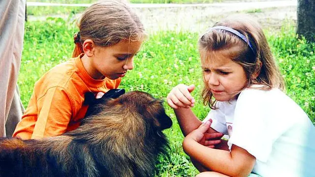 foto missinato pordenone 06.07.04 sacile incidente stradale conivolte due bambine poi decedute in ospedale. le due bambine mentre giocano con un cane