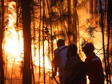 epa10788251 Firefighters try to extinguish a forest fire at Matas de Espite, Ourem, Portugal, 06 August 2023. EPA/PAULO CUNHA