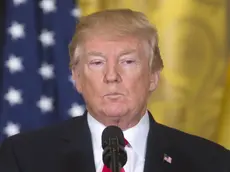 epa06585648 US President Donald J. Trump holds a joint press conference with Prime Minister Stefan Lofven (not pictured) of Sweden in the East Room of the White House in Washington, DC, USA, 06 March 2018. EPA/MICHAEL REYNOLDS