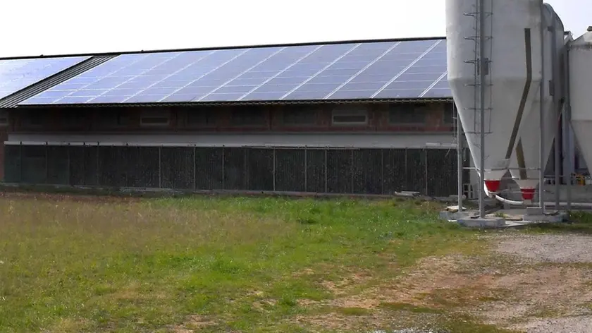Prematriacco - Cividale 14 Marzo 2017. Parco fotovoltaico via Cormons. © Foto Petrussi