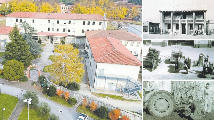 I cent’anni del Paolino d’Aquileia
