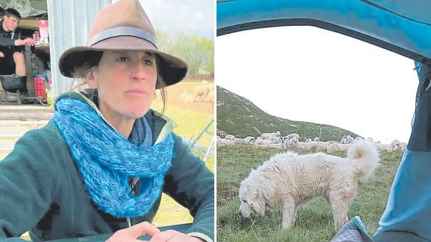 Pamela Maggioni, 44 anni, di Aviano, conduce un gregge di pecore a Cortina, vicino ai laghetti di Ra Stua