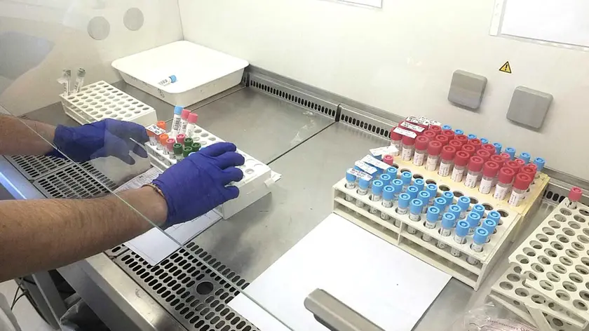 LABORATORIO VIROLOGIA COVID2 VIRUS OSPEDALE CISANELLO PISA - PISA CITTA SCENE VITA QUOTIDIANA ORDINAZA MINISTERIALE CHIUSURA EMERGENZA CORONAVIRUS - GIORNO 30 In caso di qualsiasi pubblicazione/ripubblicazione delle immagini/video, utilizzare esclusivamente nel contesto giornalistico specifico cui fa riferimento l'evento stesso della notizia, pena decadenza della Responsabilità e Manleve da parte dell'Auotre, come da art. 7 e 8.2, della Scrittura Contrattuale prevista da GEDI NEWS NETWORK.