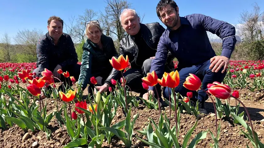 Da sinistra il fornitore olandese dei bulbi, Gabriella Heymen , il sindaco Gabriele Contardo e l’assessore Nicola Nicli nel campo di tulipani