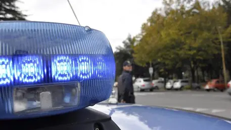 foto sdiffuse da polizia