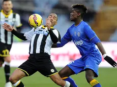 Udine, 01 febbraio 2015.Serie A 2013/2014. 21^ giornata..Stadio Friuli..Udinese vs Juventus..Nella foto: il centrocampista dell'Udinese Marques Loureiro Allan..Copyright Foto Petrussi / Ferraro Simone