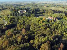 Premariacco 25 Febbraio 2016. Zona boschiva sotto la Rocca Bernarda. Foto Petrussi