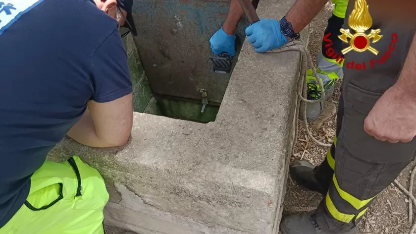 Il pozzo artesiano di circa 7 metri in una zona di campagna di Palazzolo Acreide, nel Siracusano, dove sono caduti una donna e un bambino di 10 anni, 27 giugno 2024. La donna è stata recuperata da una squadra del Nucleo speleo alpino fluviale e affidata alle cure del 118, il bambino è morto. ANSA/ VIGILI DEL FUOCO ++ANSA PROVIDES ACCESS TO THIS HANDOUT PHOTO TO BE USED SOLELY TO ILLUSTRATE NEWS REPORTING OR COMMENTARY ON THE FACTS OR EVENTS DEPICTED IN THIS IMAGE; NO ARCHIVING; NO LICENSING++ NPK ++