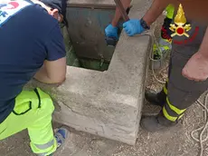 Il pozzo artesiano di circa 7 metri in una zona di campagna di Palazzolo Acreide, nel Siracusano, dove sono caduti una donna e un bambino di 10 anni, 27 giugno 2024. La donna è stata recuperata da una squadra del Nucleo speleo alpino fluviale e affidata alle cure del 118, il bambino è morto. ANSA/ VIGILI DEL FUOCO ++ANSA PROVIDES ACCESS TO THIS HANDOUT PHOTO TO BE USED SOLELY TO ILLUSTRATE NEWS REPORTING OR COMMENTARY ON THE FACTS OR EVENTS DEPICTED IN THIS IMAGE; NO ARCHIVING; NO LICENSING++ NPK ++