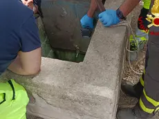 Il pozzo artesiano di circa 7 metri in una zona di campagna di Palazzolo Acreide, nel Siracusano, dove sono caduti una donna e un bambino di 10 anni, 27 giugno 2024. La donna è stata recuperata da una squadra del Nucleo speleo alpino fluviale e affidata alle cure del 118, il bambino è morto. ANSA/ VIGILI DEL FUOCO ++ANSA PROVIDES ACCESS TO THIS HANDOUT PHOTO TO BE USED SOLELY TO ILLUSTRATE NEWS REPORTING OR COMMENTARY ON THE FACTS OR EVENTS DEPICTED IN THIS IMAGE; NO ARCHIVING; NO LICENSING++ NPK ++