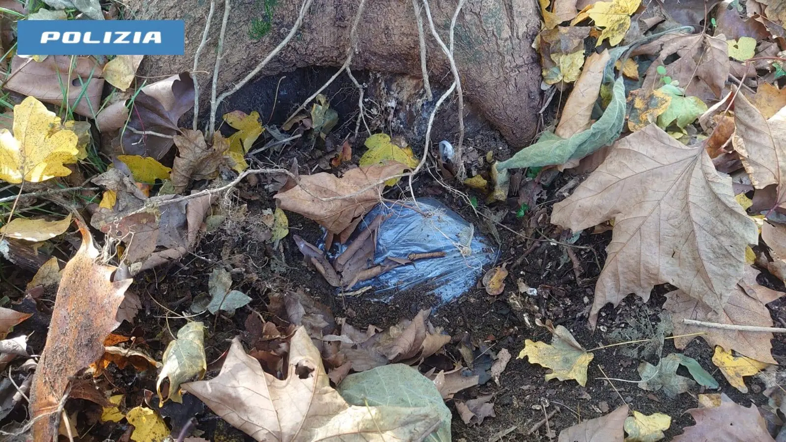 La droga veniva nascosta in cavità scavate nel terreno