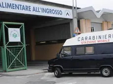 Udine 03 Novembre 2011 mercato ortofrutticolo FOTO/PFP Turco