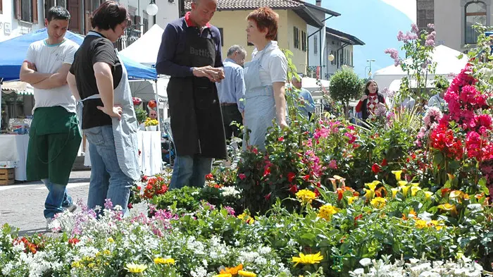 Tolmezzo 25 aprile 2010. Festa dei fiori. Telefoto Copyright / Foto Agency Anteprima Udine