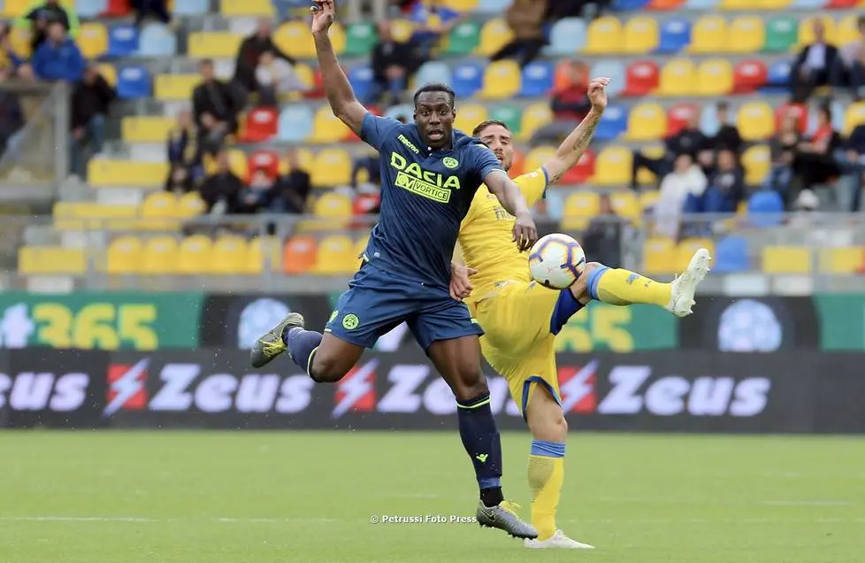 Frosinone 12 Maggio 2019. Calcio Serie A. Frosinone-Udinese. © Foto Petrussi